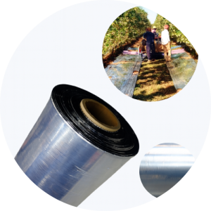 Film Reflectante