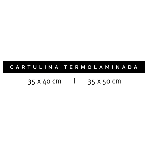Protectores Termolaminados - Imagen 5