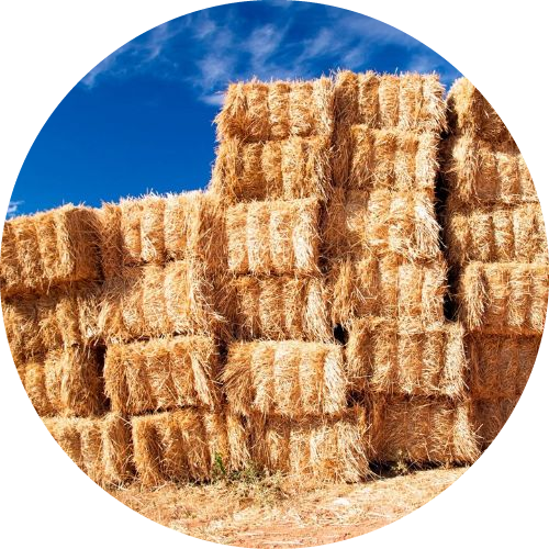 Cordel Pasto Bobina - Imagen 3