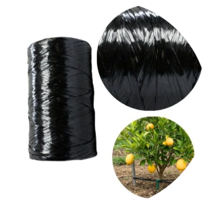 Cinta Plana Ortopédica