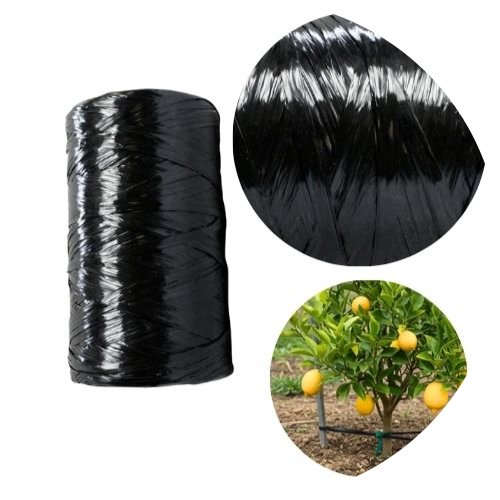 Cinta Plana Ortopédica